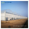 High quality multi-span plastic film green house